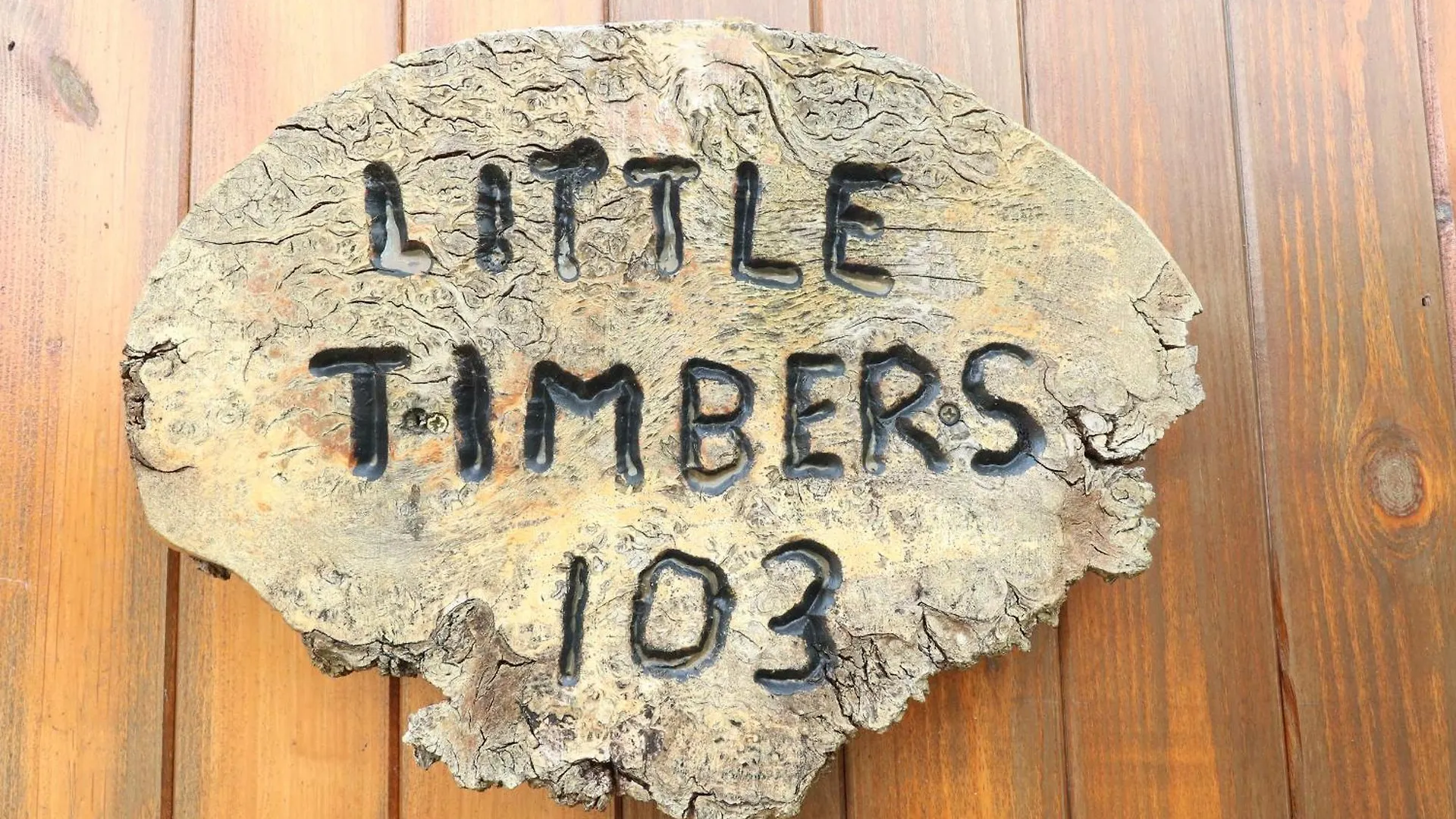 Little Timbers Villa Ringwood Holiday home