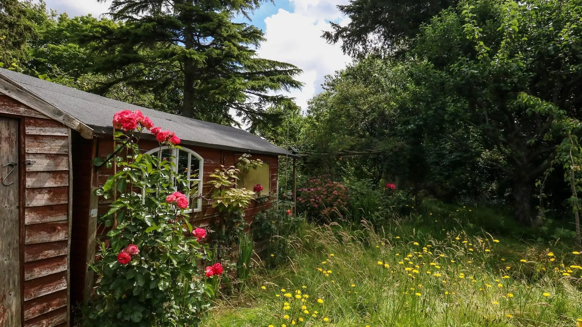 Little Timbers Villa Ringwood Holiday home